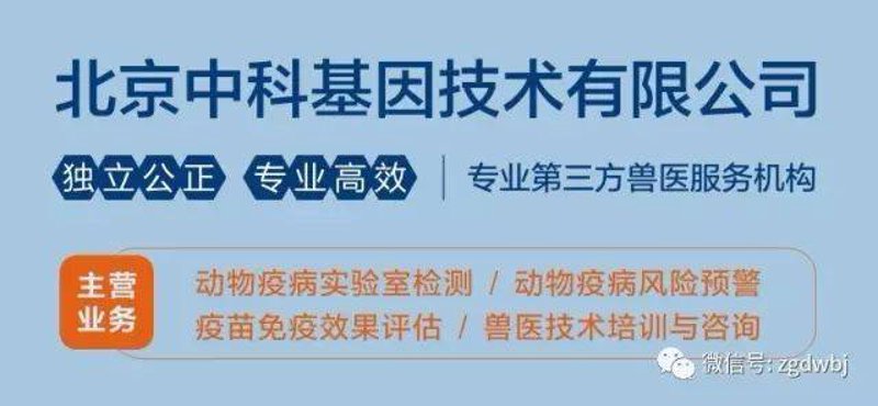 肠癌早筛：从故事中窥探生存希望