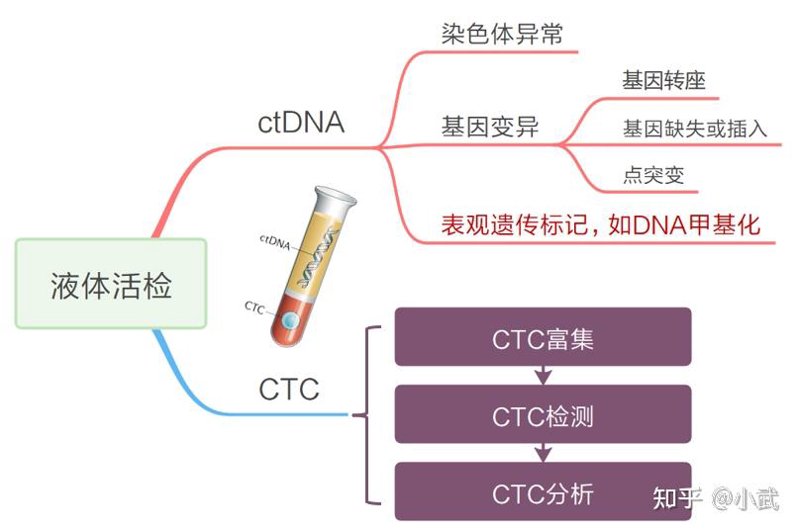 肠癌早筛选购指南：如何选择适合自己的筛查方案